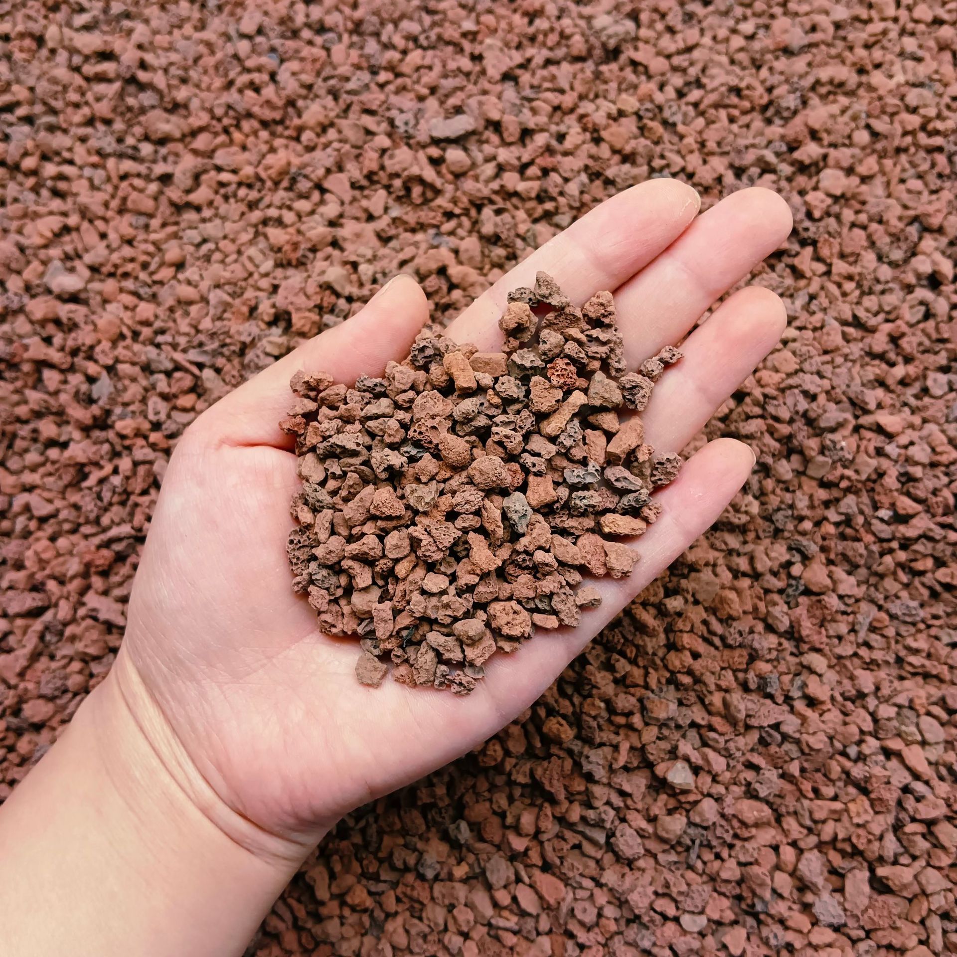 微信图片_20250218084250