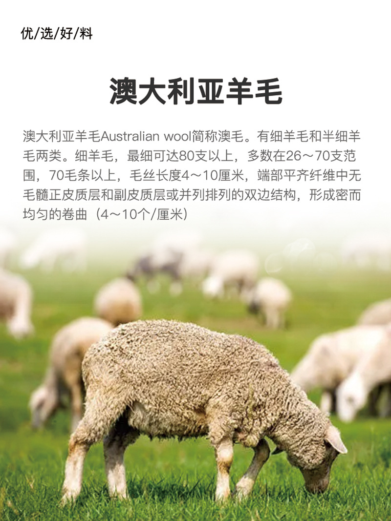 复杂详情页_02.jpg