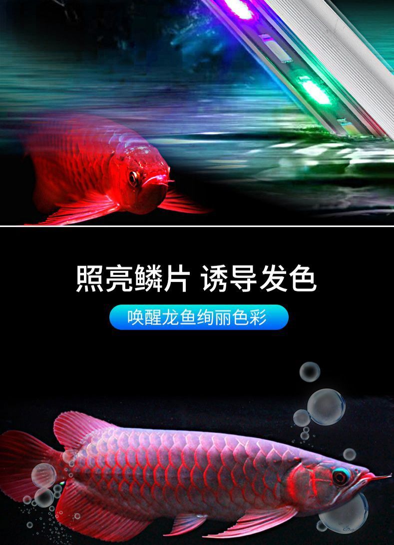 6dee750b-9337-4f4c-b95c-a3d694245508.jpe