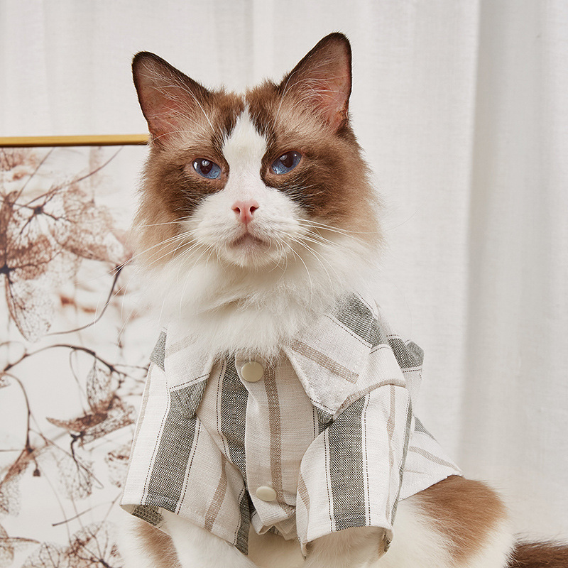 宠物衬衫 条纹猫猫衣服 狗狗衣服