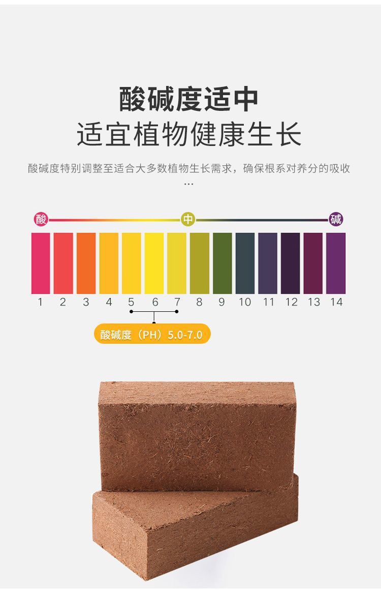 3a263c96-22e0-48f6-9dda-3a60286f6716.jpe