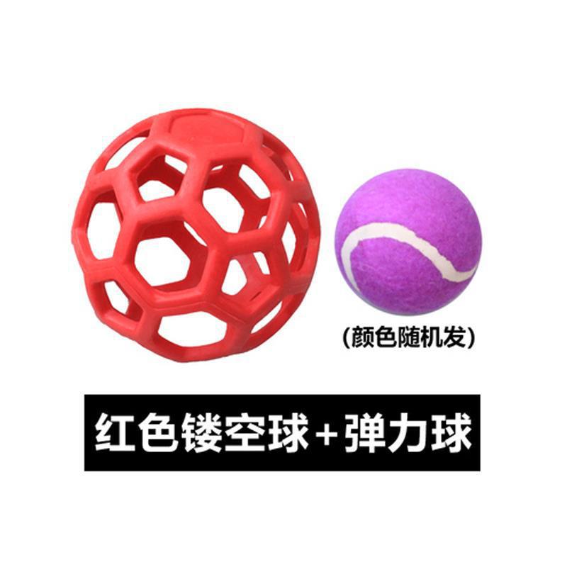 IMG_9669(20230217-125326)