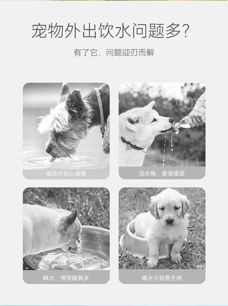 96a48b39-c1eb-48e4-8fa8-bdfbcd55338e.jpe