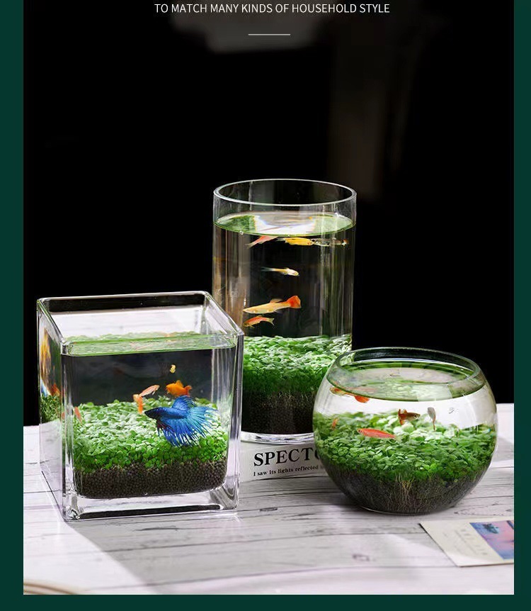 cf671e34-db96-420f-aeed-f4d3e898a0e2.jpe