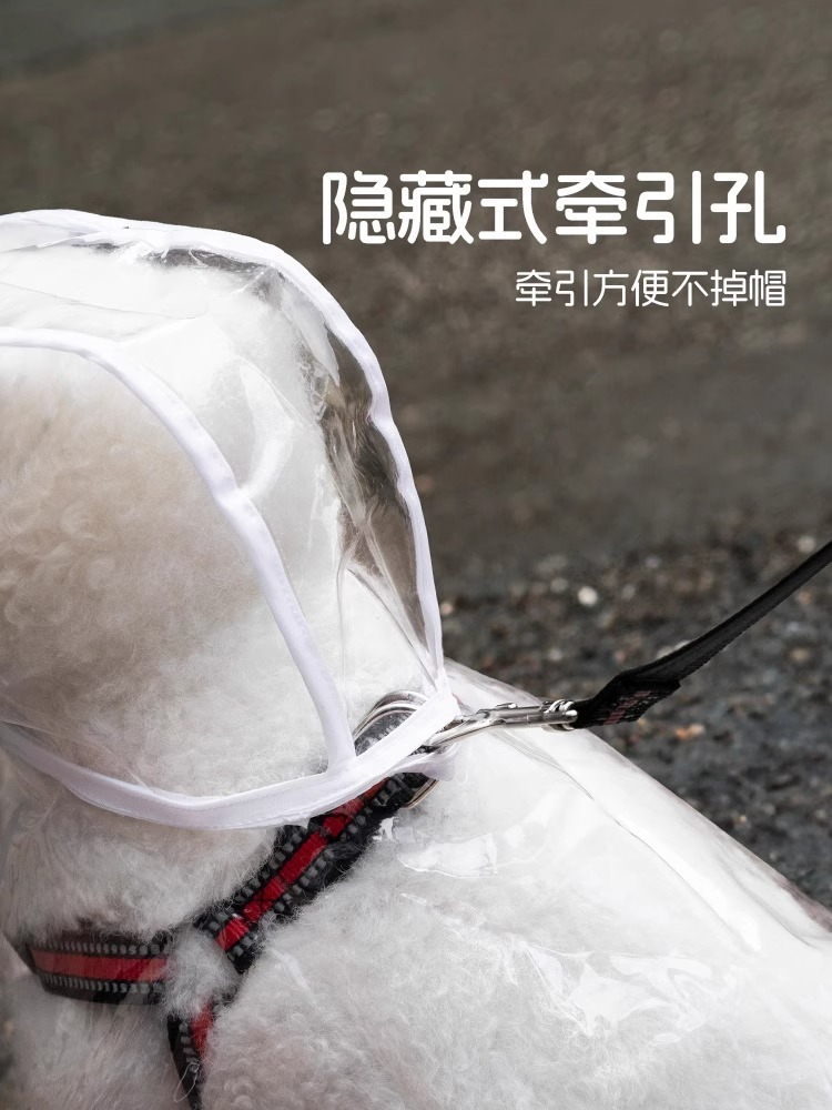 fce923c6-e80f-48d6-91ed-6c286da83ae9.jpe