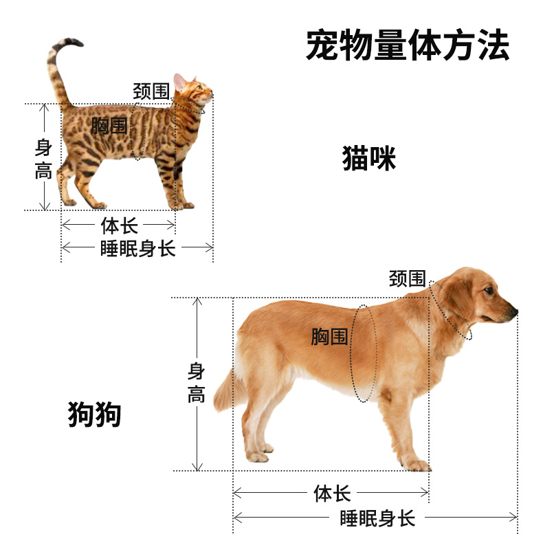 宠物量体方法(2)