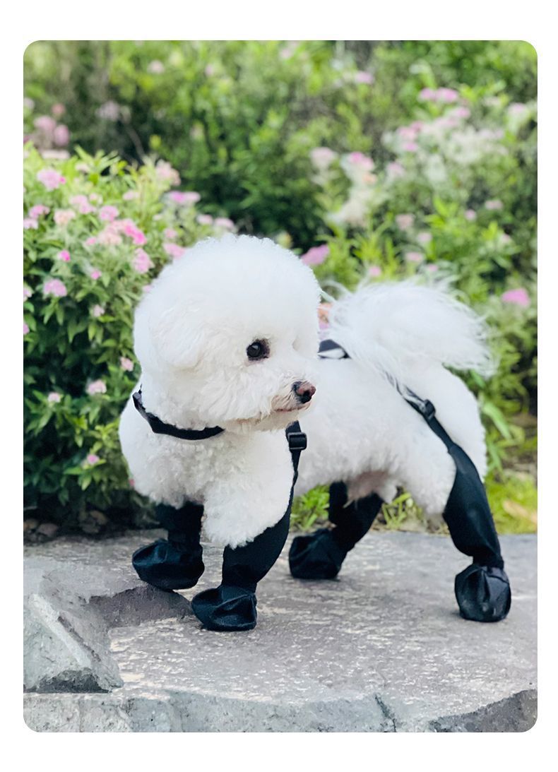 28597cf0-1d30-438b-89d4-2f2037b49b77.jpe