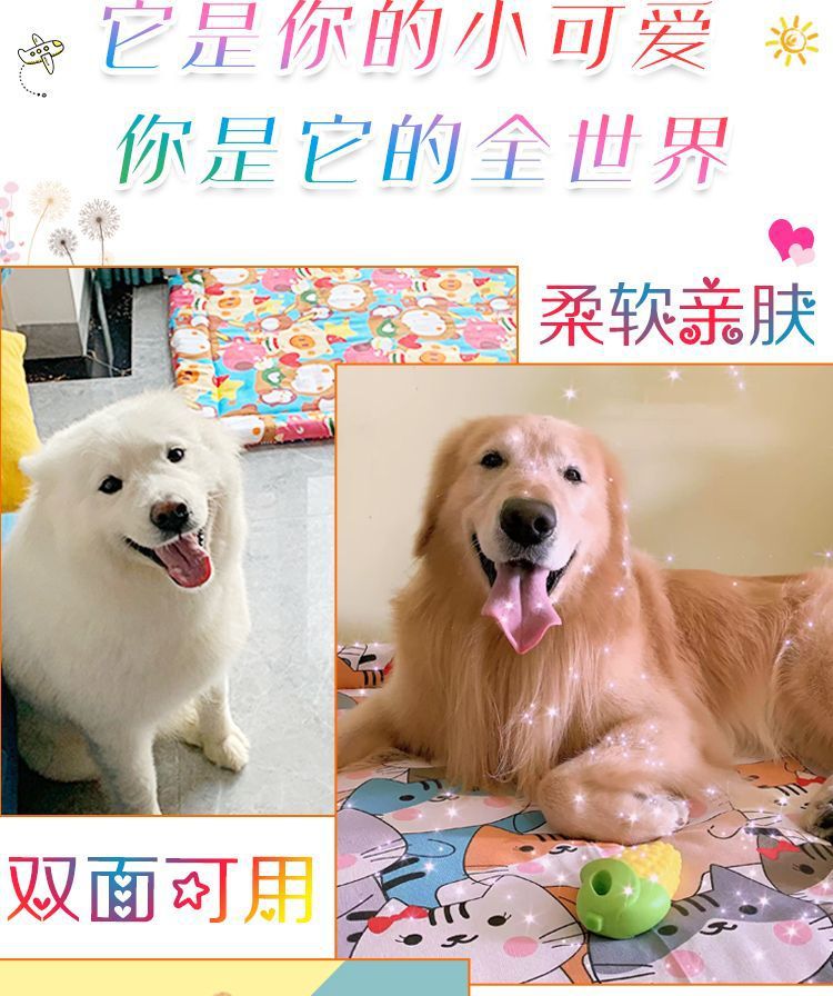 d754cfca-f603-4400-bd72-af000c24c483.jpe