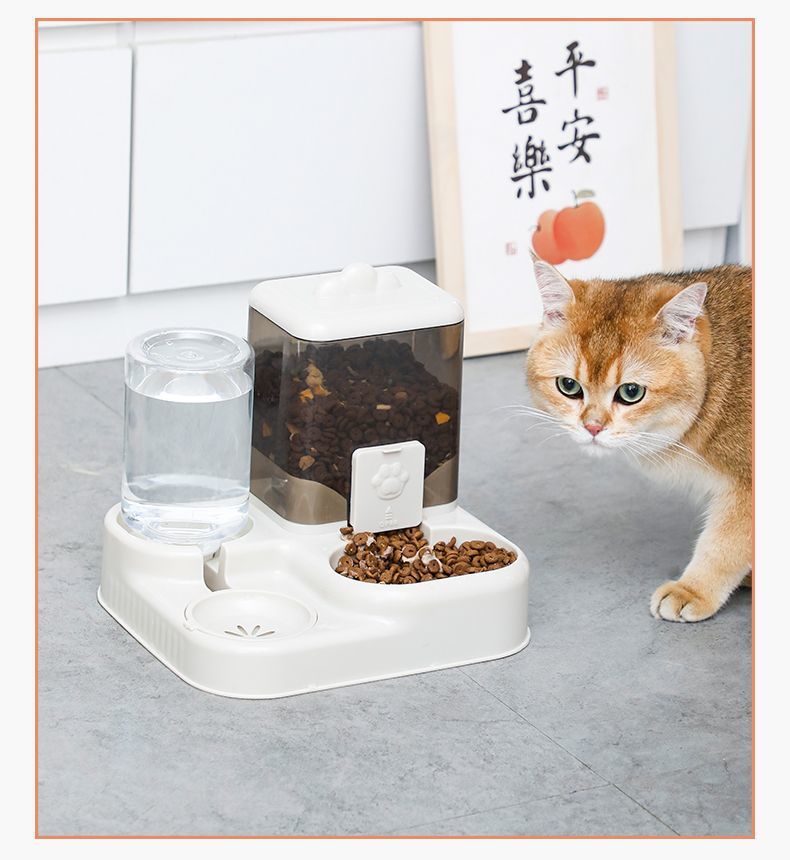 8a9914d4-9198-4d13-a62f-2d1c3f3f2eb1.jpe