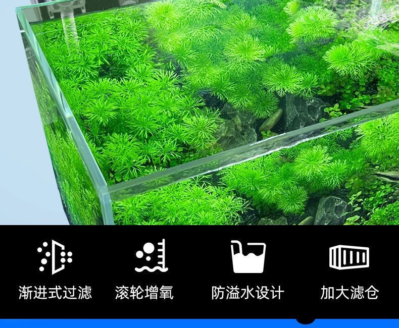 a428fd69-54b7-4776-8917-1f6dab661dd8.jpe