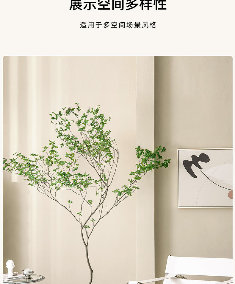 5442d133-6ac4-4fc9-a1ed-cecad57de7bb.jpe