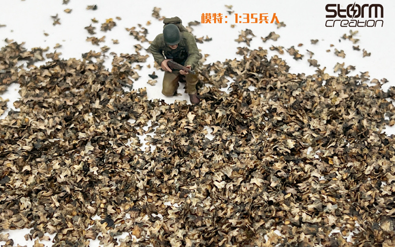 396 枯萎800x500.jpg