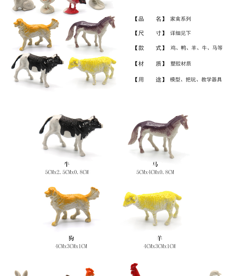 动物世界_05.jpg