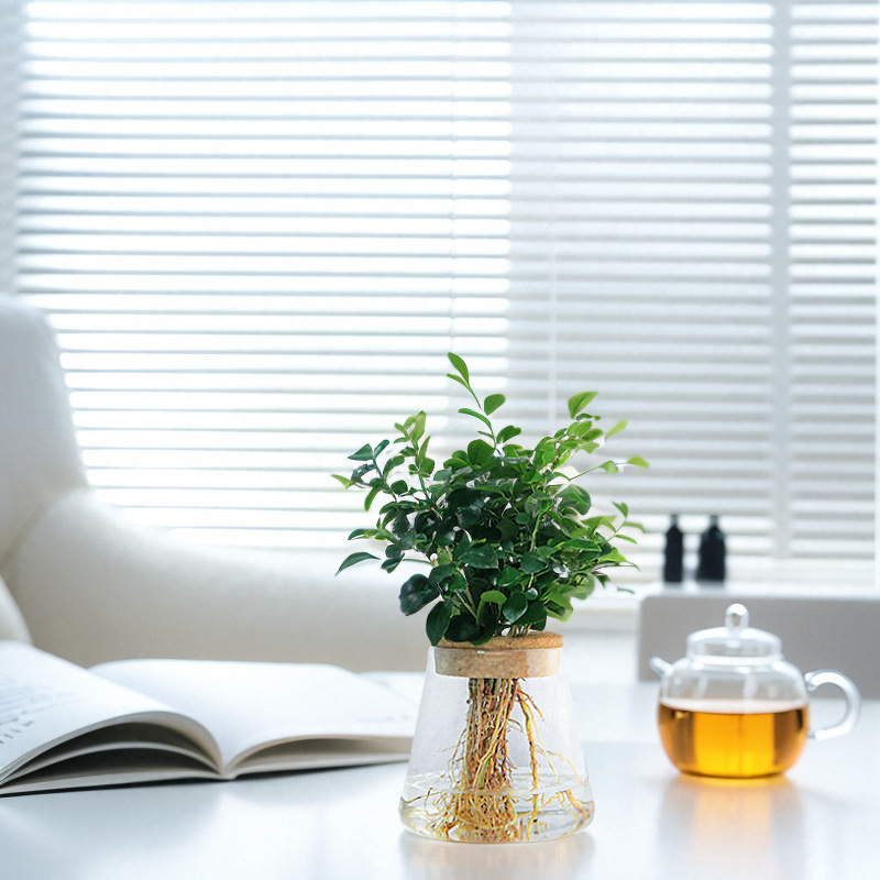 a8c19487-bf23-4354-9b68-50957721c6c9.jpe