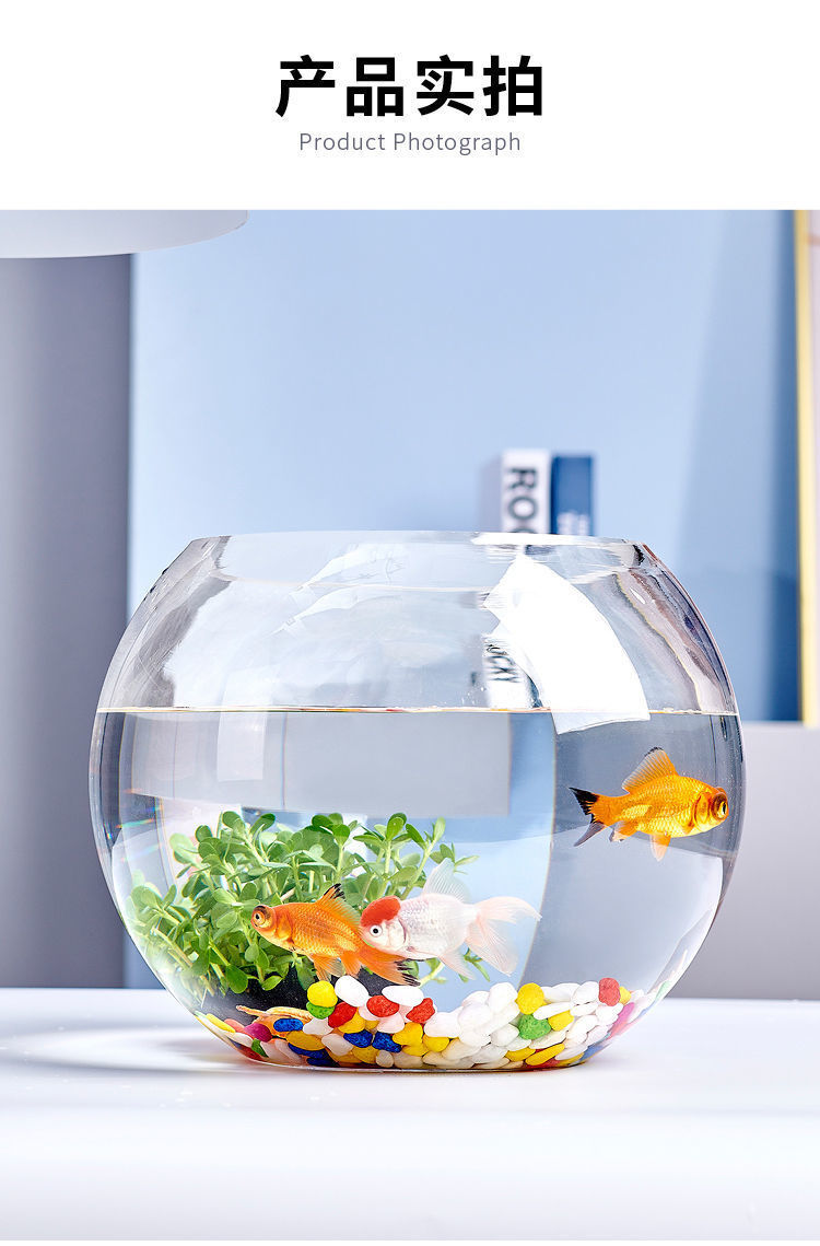 39ac5e2e-2e99-4627-8c15-ffe52ec141f6.jpe