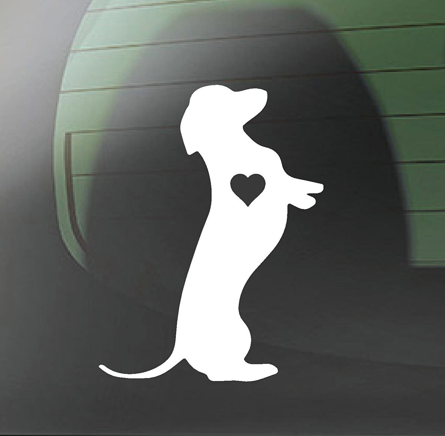 5a124d7c8988993463af5653-6-ori