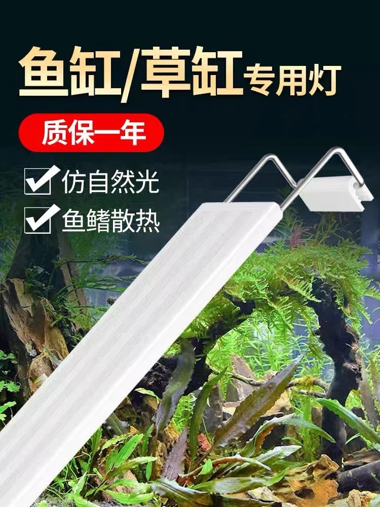 47b6eafc-e099-4209-a274-aee0f9c99407.jpe