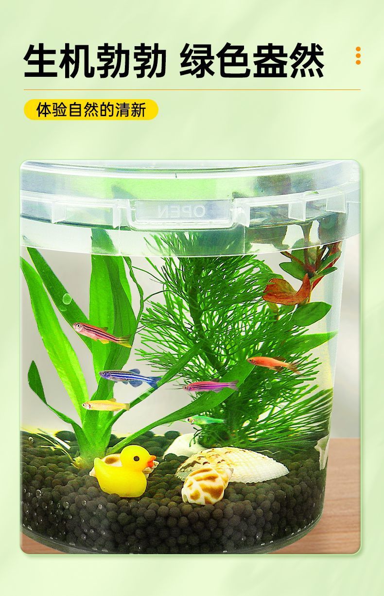 753fea08-02f3-4f23-83c1-1a8fac703cc5.jpe