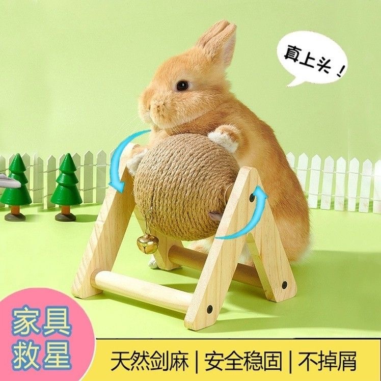 4983e2b0-99e0-42f3-885c-05d410b173cd.jpe