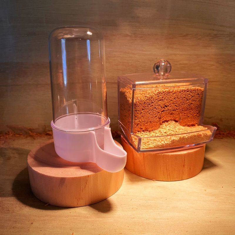 4bc28bea-d1d3-4d93-a1bd-df9ced024cad.jpe