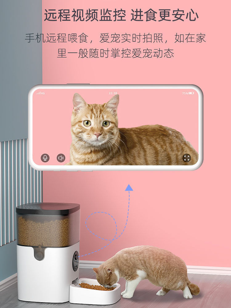 6376ddbc-1017-4798-8f14-0a74d7cf6c8f.jpe