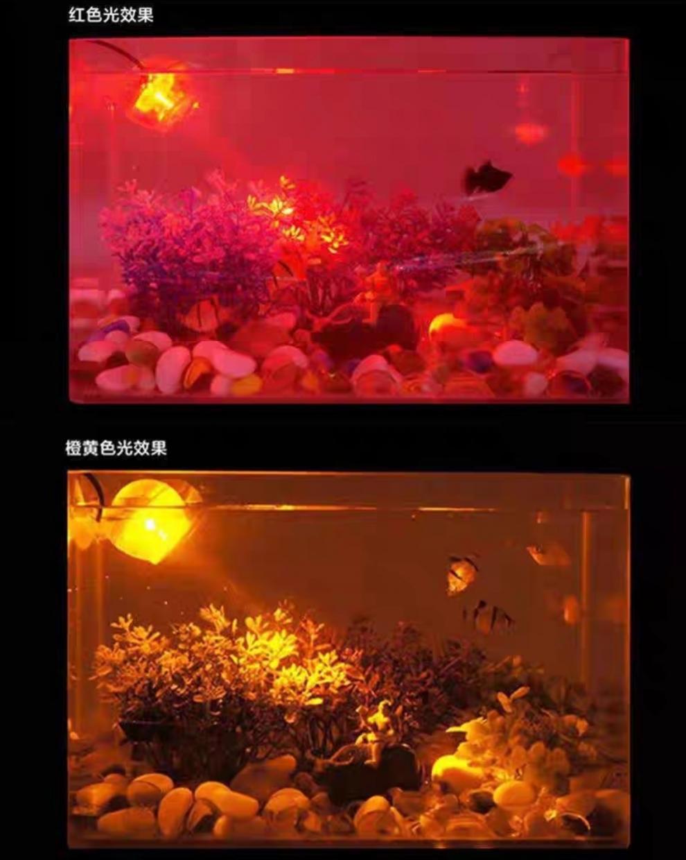 8ebfb4d5-32d6-40d9-b1a9-be3c4e5df517.jpe