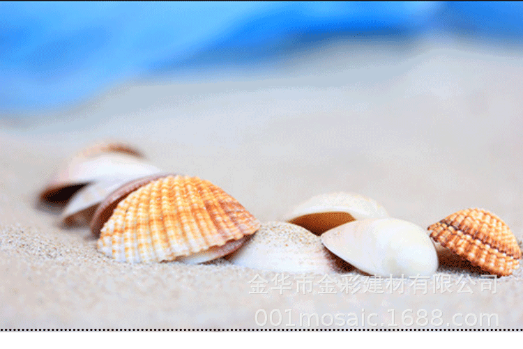 扇形贝壳马赛克页面详情_01.gif