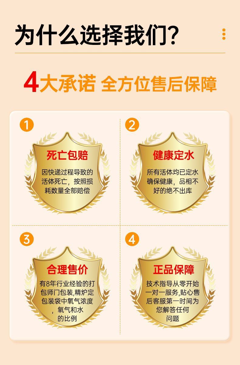 03a94e44-764b-4dad-99fb-0ecf5742f549.jpe