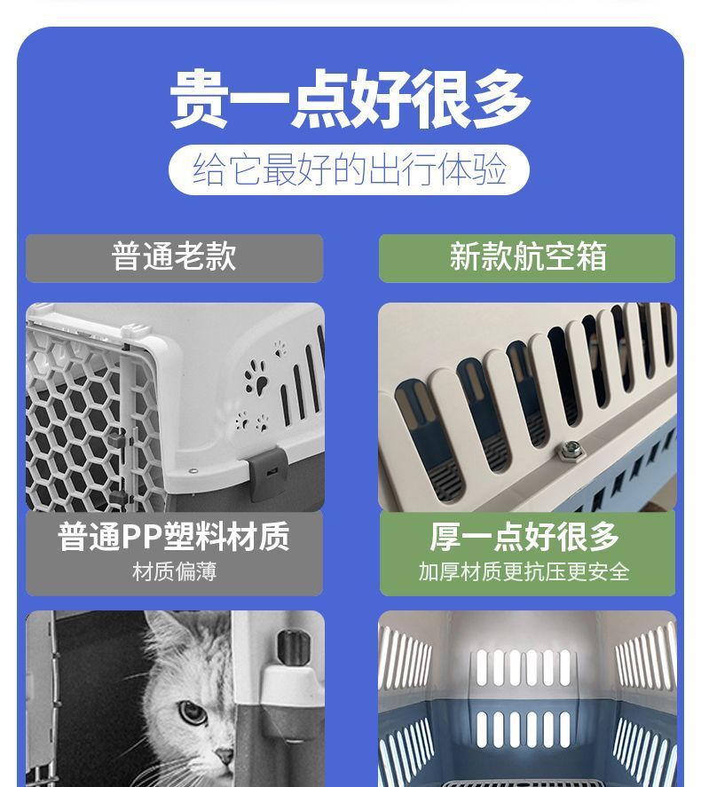 5ce68ce0-1716-411a-801d-3f51f5e79c80.jpe