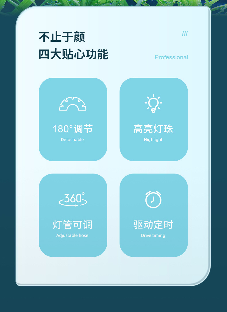 双叶水草_02.jpg