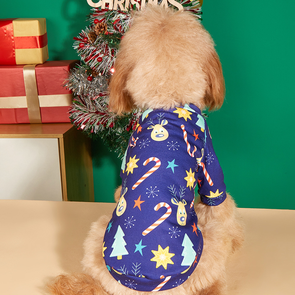 2Z5A9863首图 - 副本.jpg