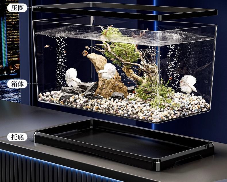 ba866735-e644-44af-848b-a7a75156d421.jpe