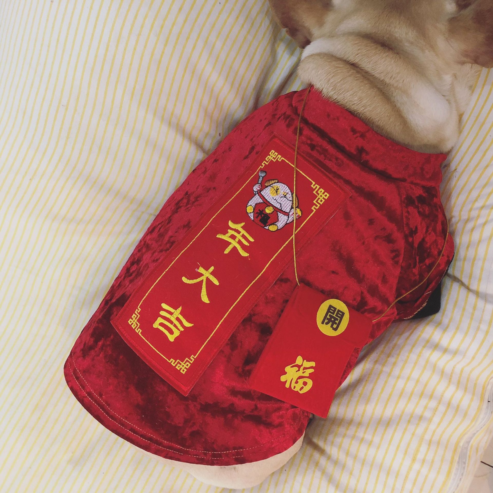 O1CN01mM54jb1haEnnJObFg_!!8425