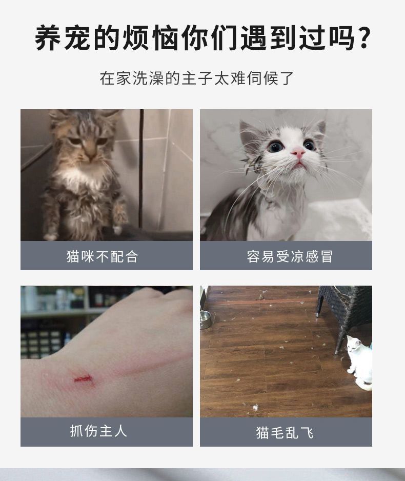 5b3b55bf-c37a-4c0e-9ac0-5d4cf96f9c78.jpe