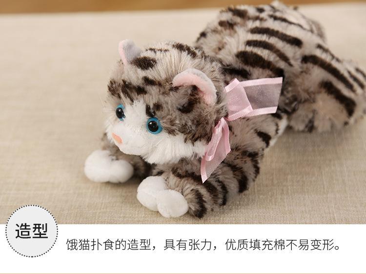 猫猫_12.jpg