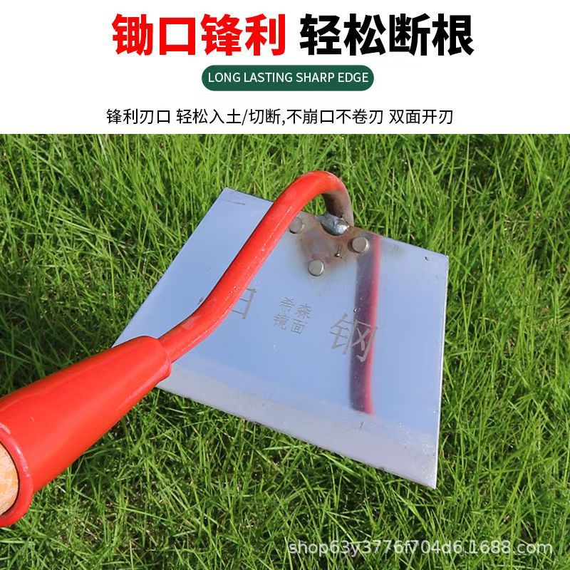 微信图片_202504081356131.jpg