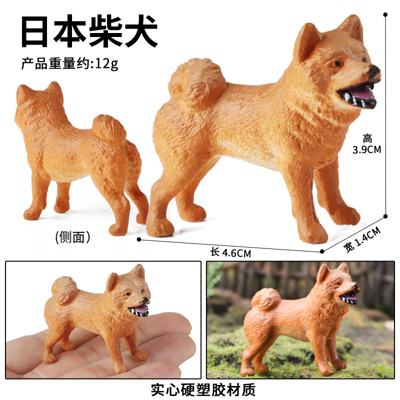 PL127-1404日本柴犬