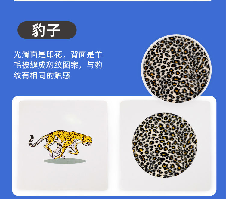 触摸纹理_07