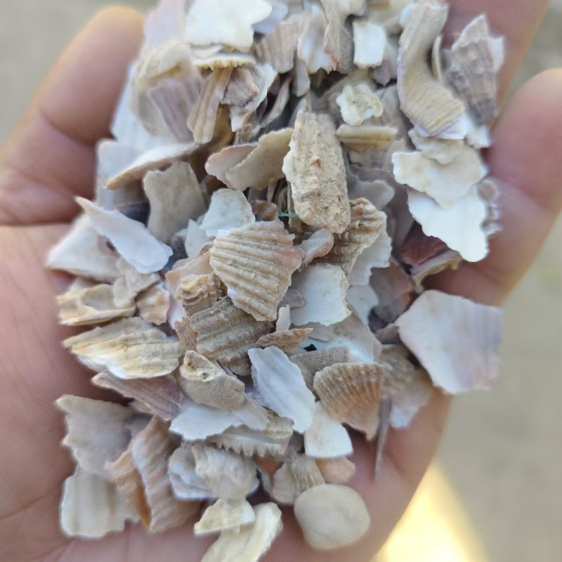 cc63ff7dd3fe9484f5b6902caf585a