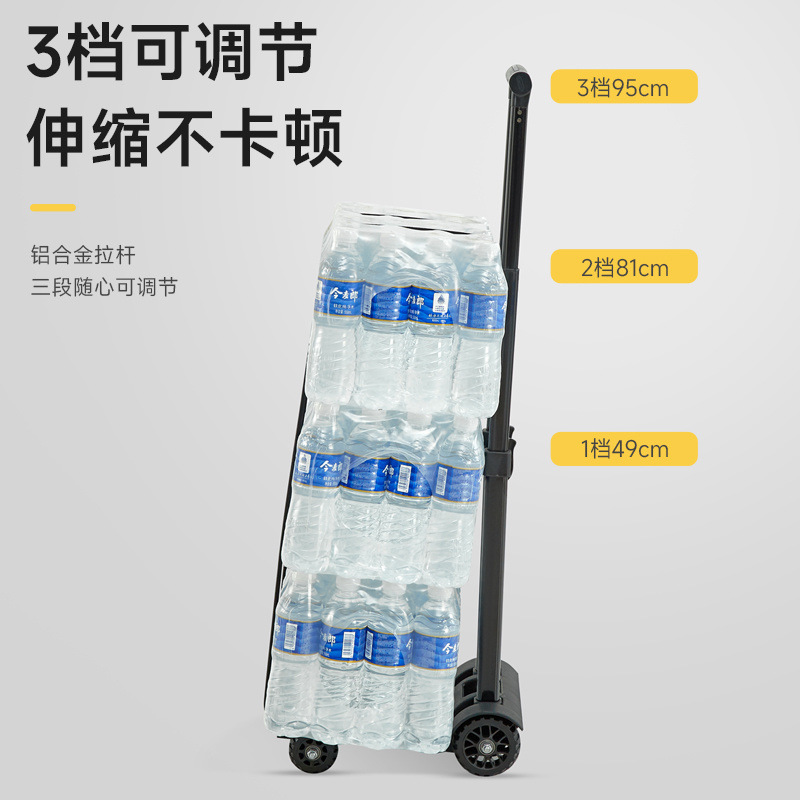 0f71d259-619d-4007-b205-4e40a039b7f6.jpe
