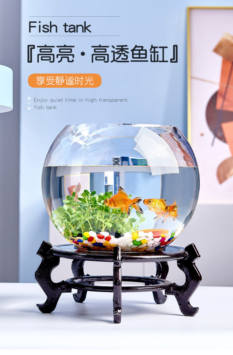 46f88c2b-940a-4954-982b-fb9a47a733d8.jpe