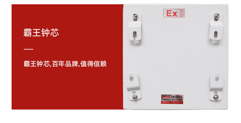 B款详情页_08.png