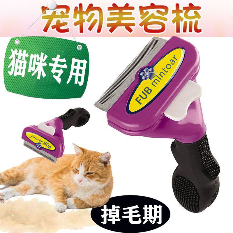 0406877f-e294-4eb8-aa91-93a9eff7512b.jpe