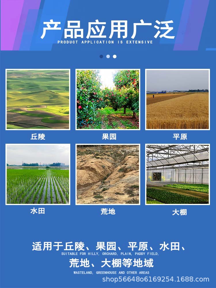详情6