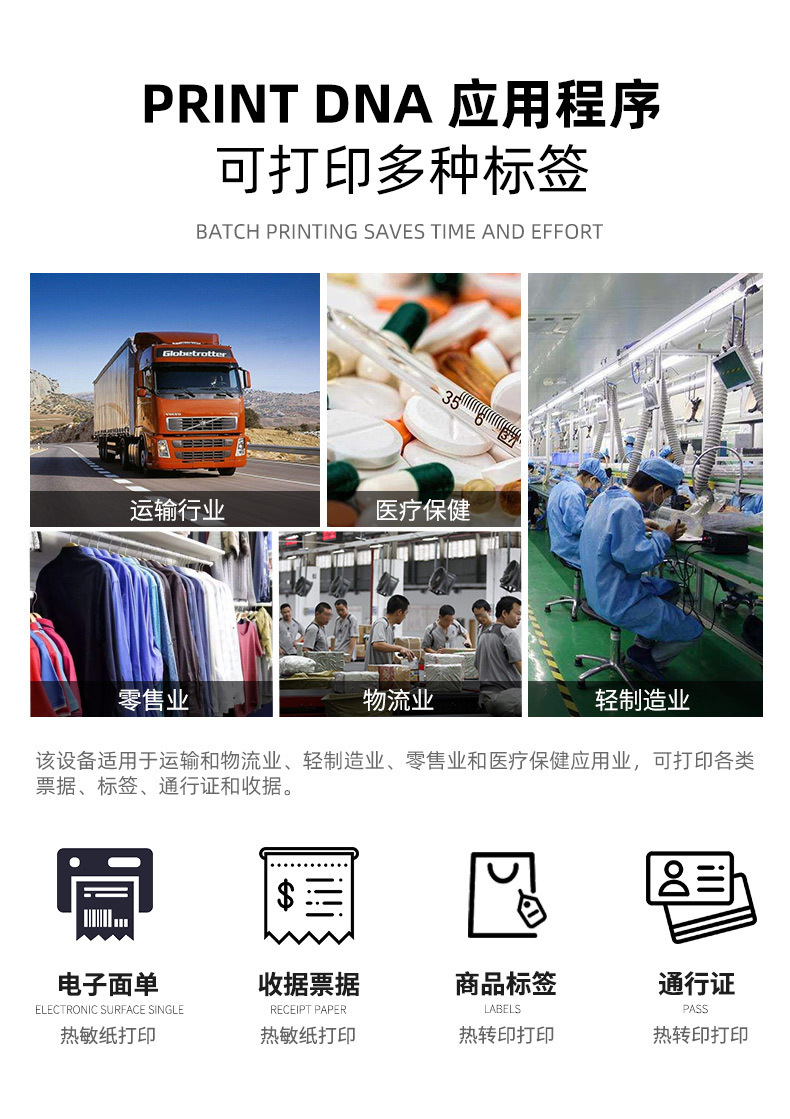斑马_12.jpg
