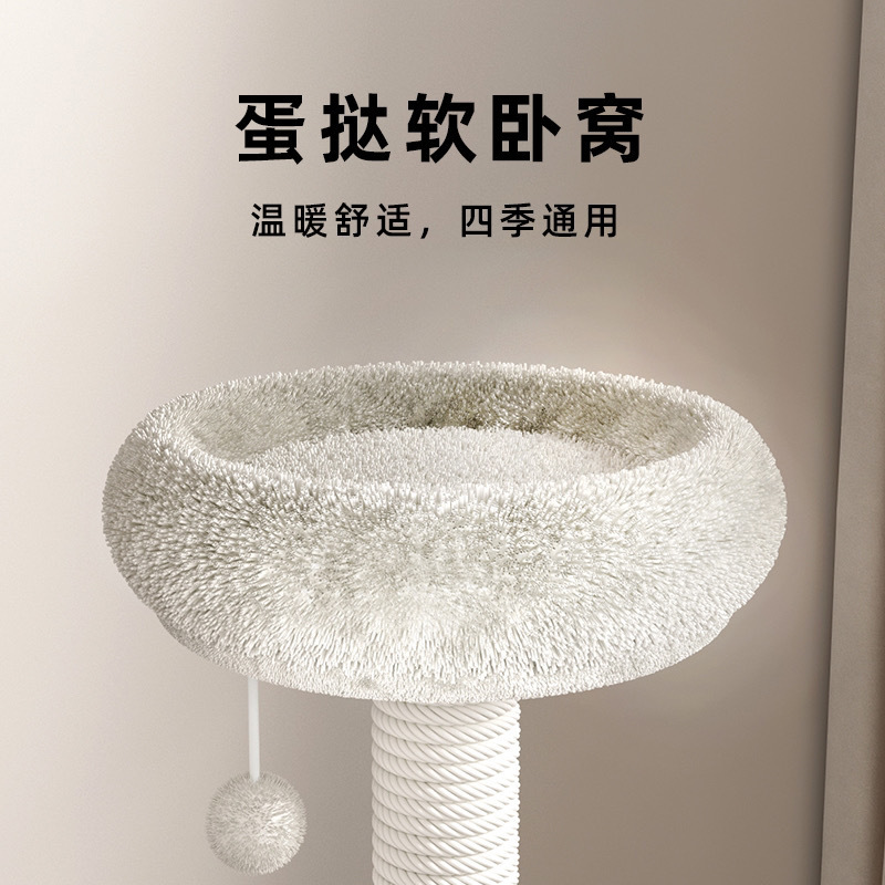 d442aeff-2f38-4a4f-806f-5c0ff85df17c.jpe