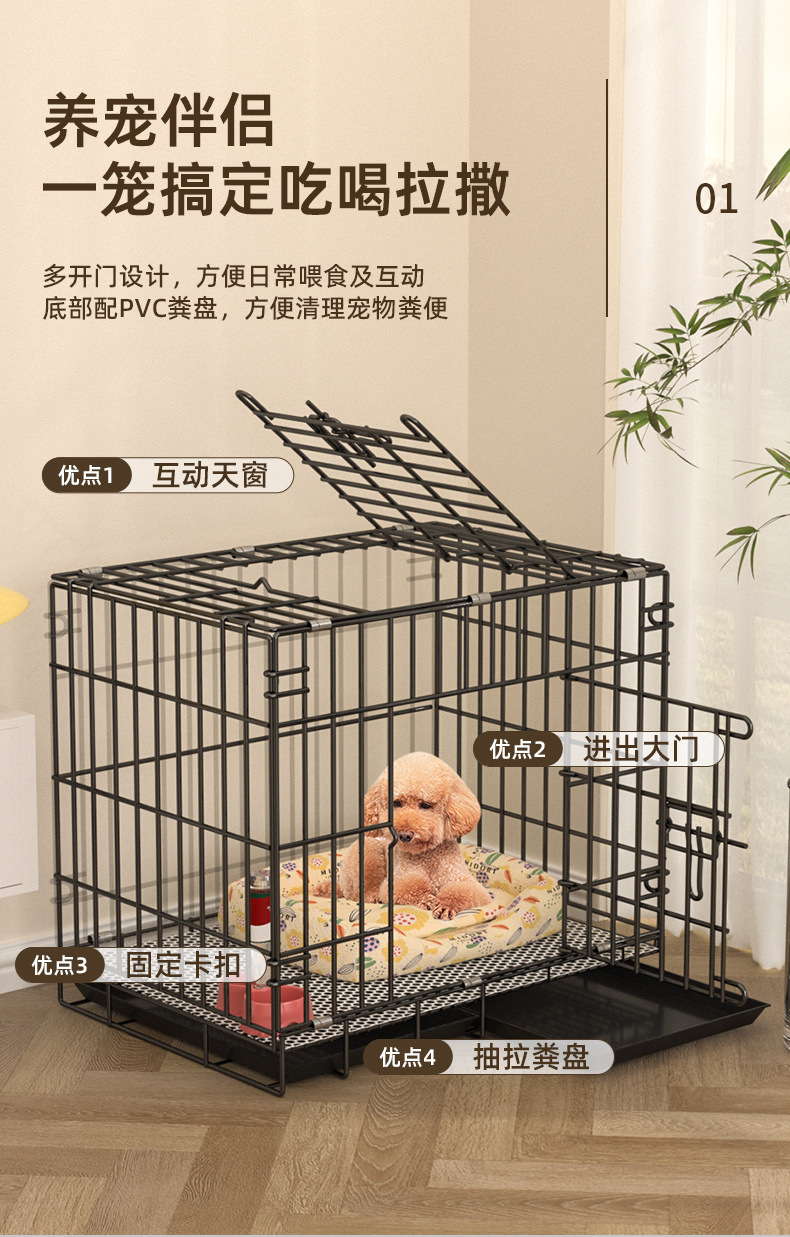 73fdb42e-a27c-48e4-ba88-4129889c796b.jpe