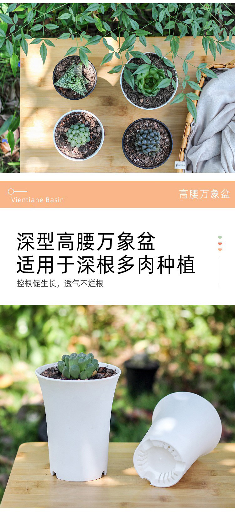 O1CN01ABqnDR2ArIcOX1o51_!!2212