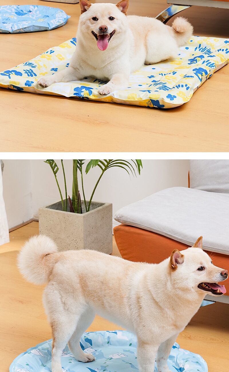 fb887bdb-dd8d-4417-8e49-5e2cb9966d1b.jpe