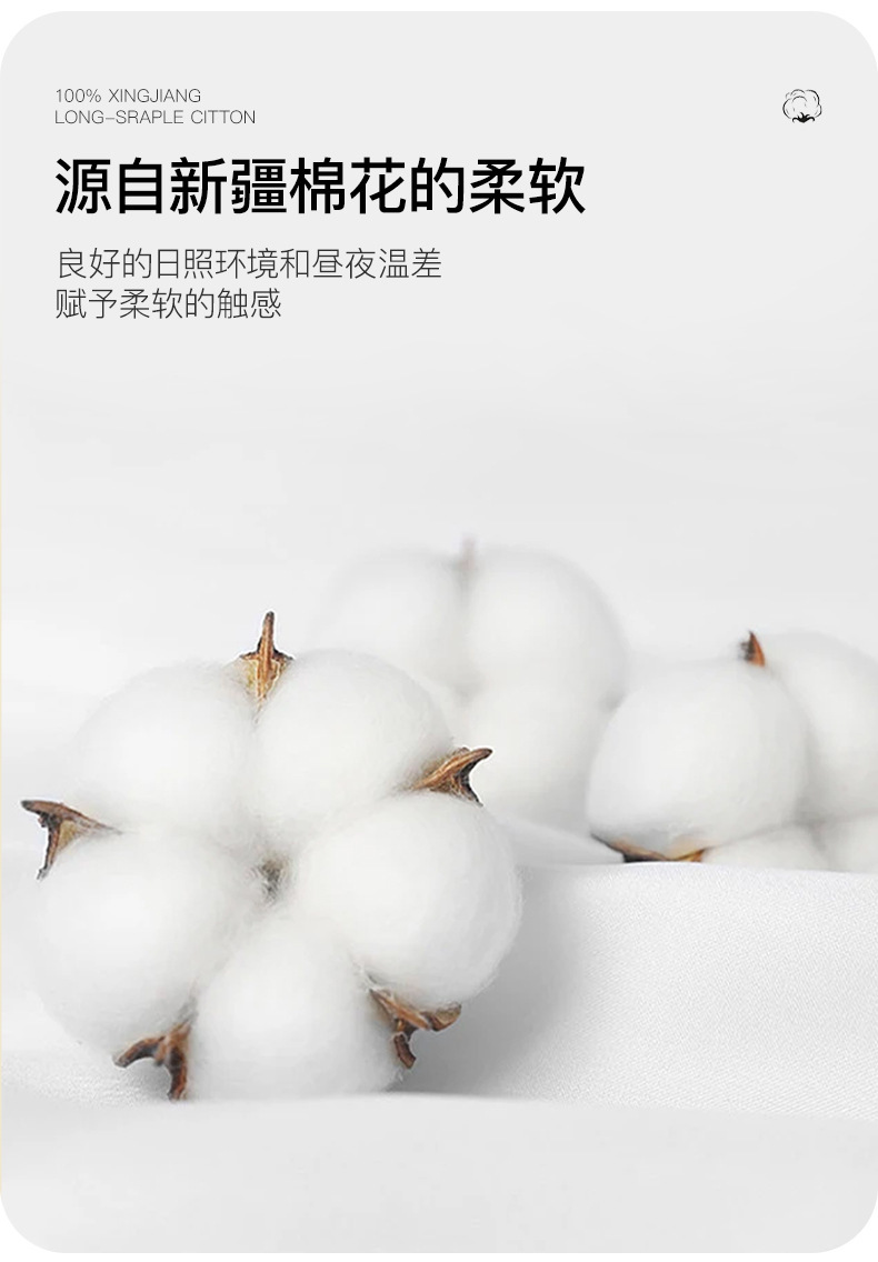 商品详情页图_1.jpg